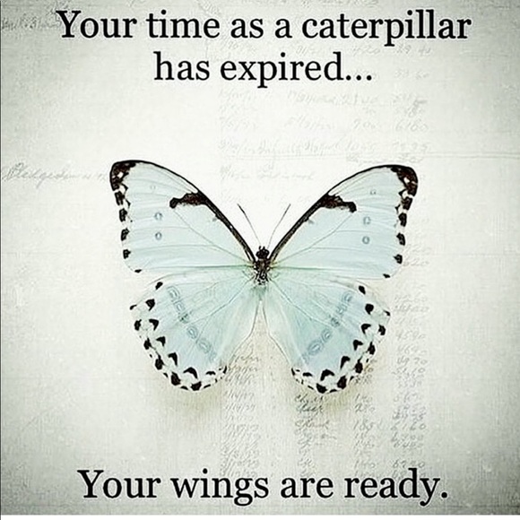 Meet your Posher, Lisa - Picture 6 of 8